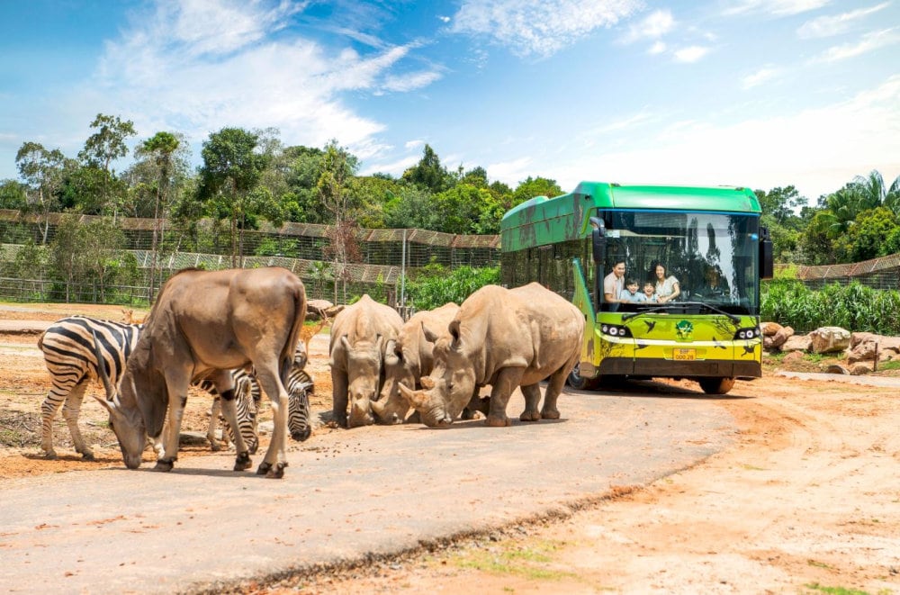 Vinpearl Safari Phu Quoc offers a unique wildlife experience in Vietnam